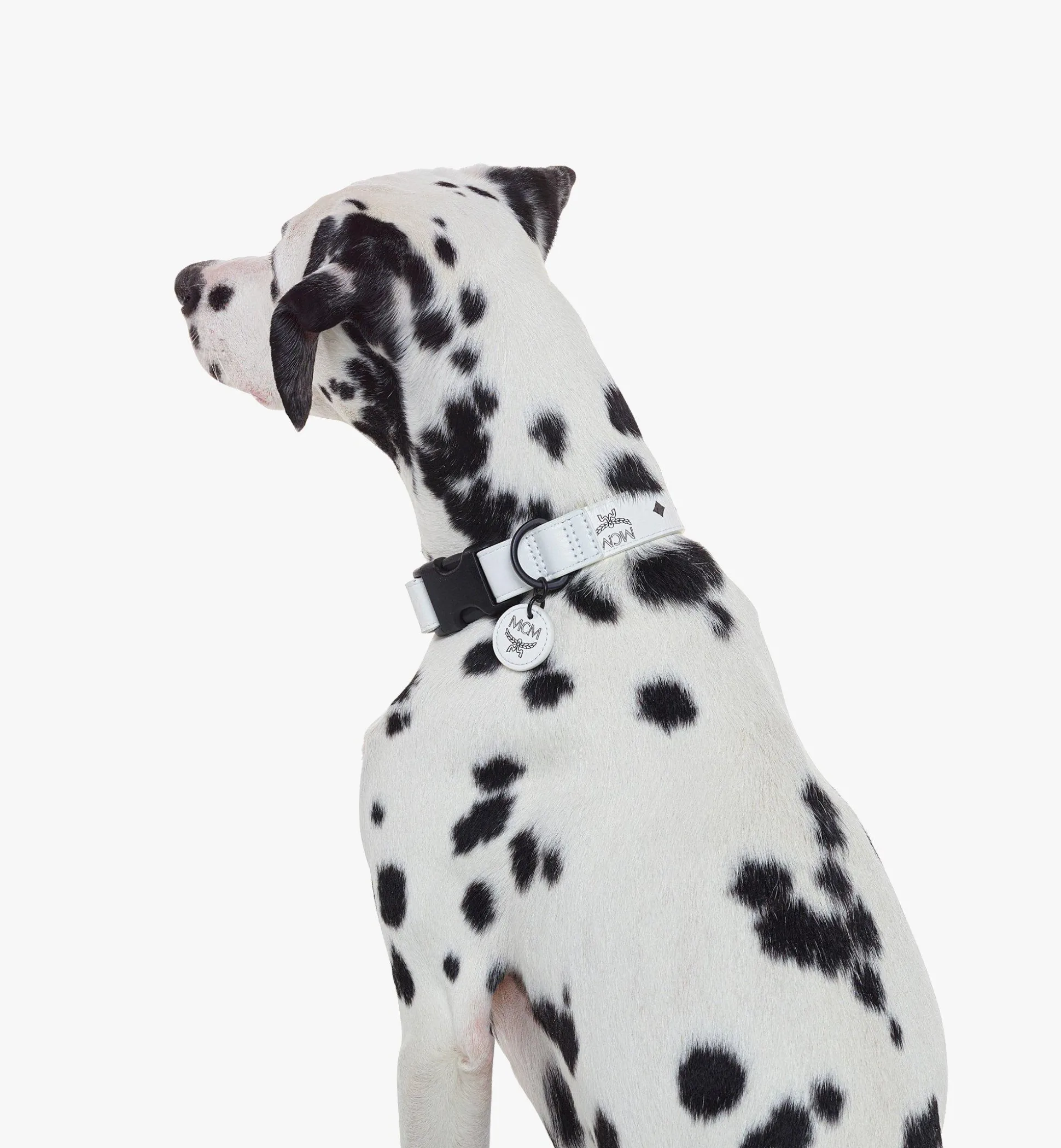 Hundehalsband In Visetos